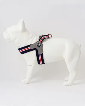 Easy Walk V Dog Harness - Navy