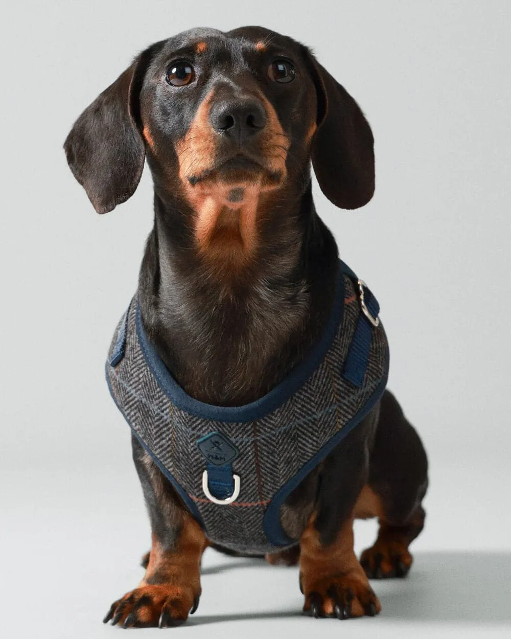 Grey Checked Herringbone Tweed Dog Harness