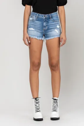 High Rise Fray Hem Denim Shorts