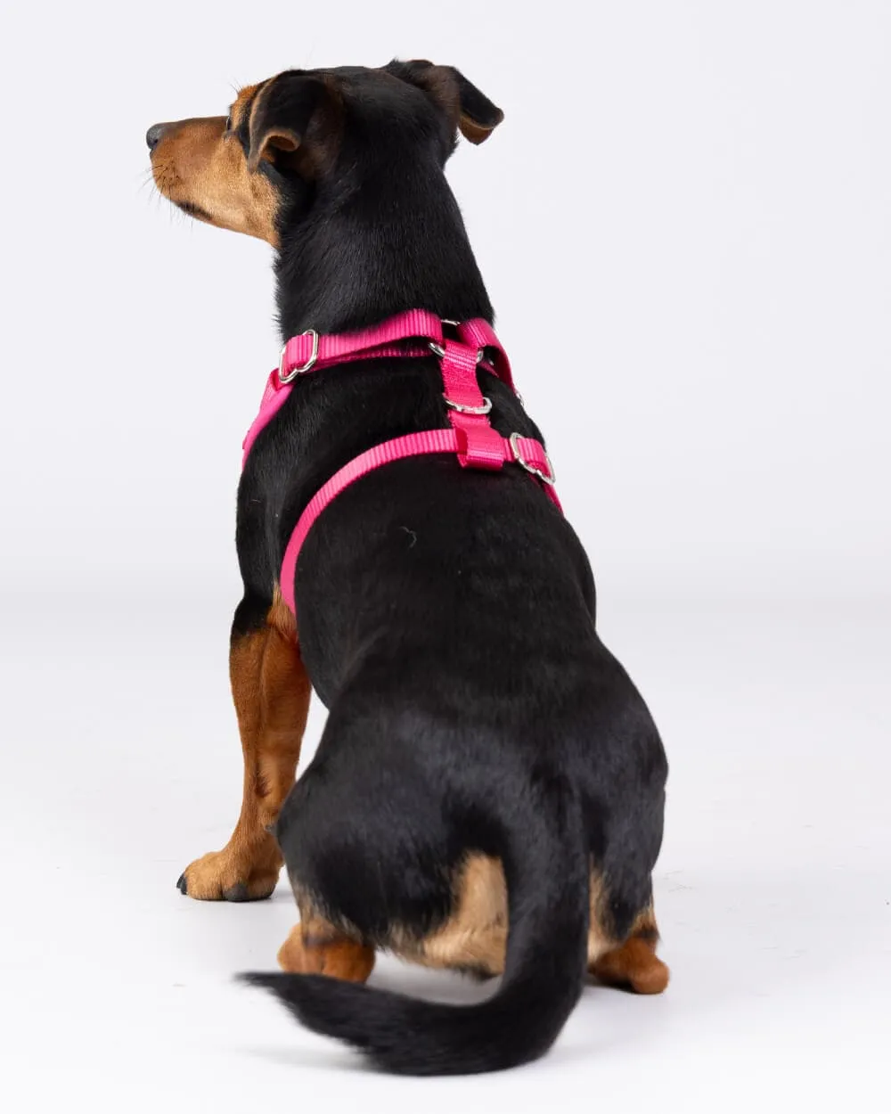 Pink Luxury Tweed Dog Harness